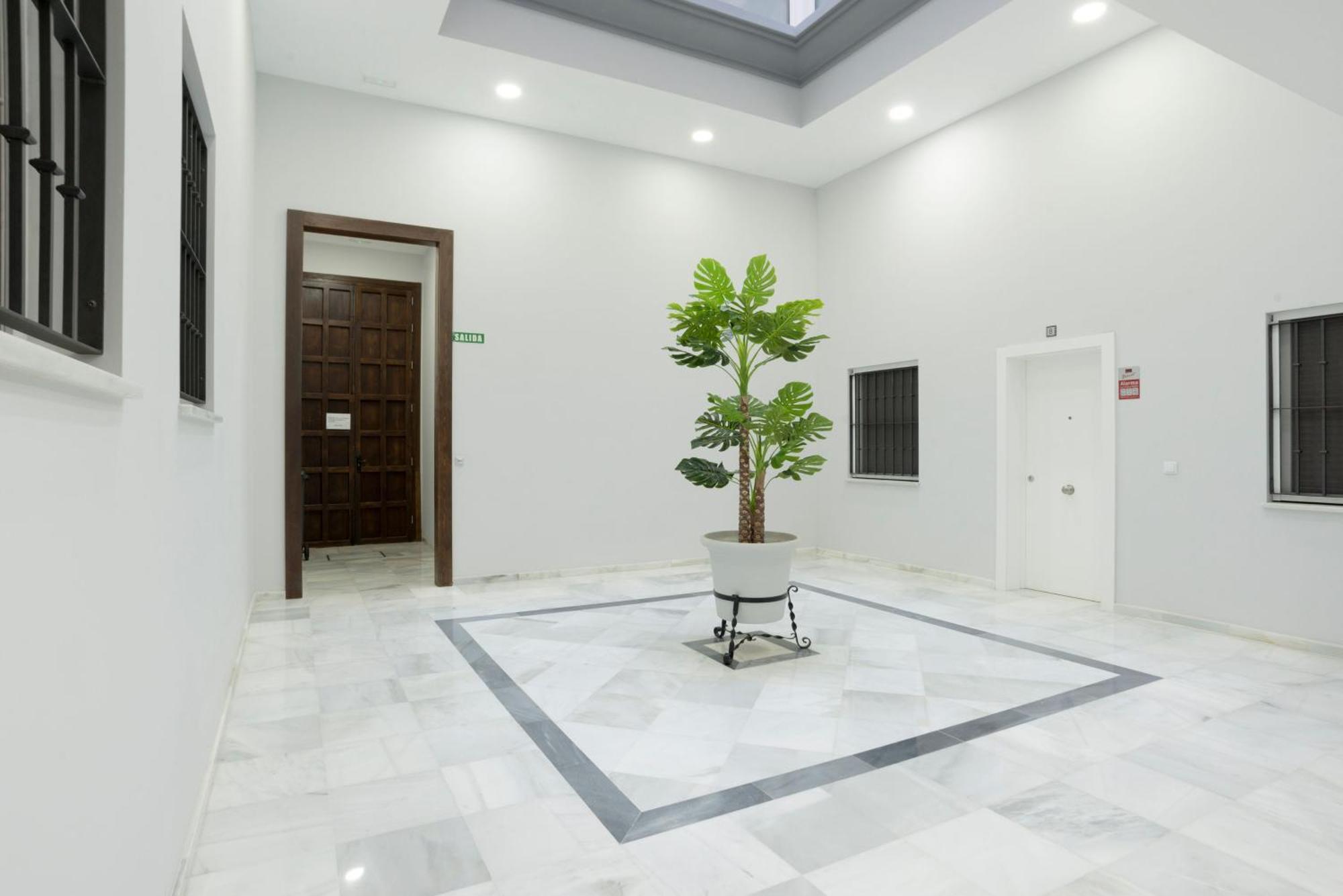 Apartamento Centro Deluxe カディス エクステリア 写真